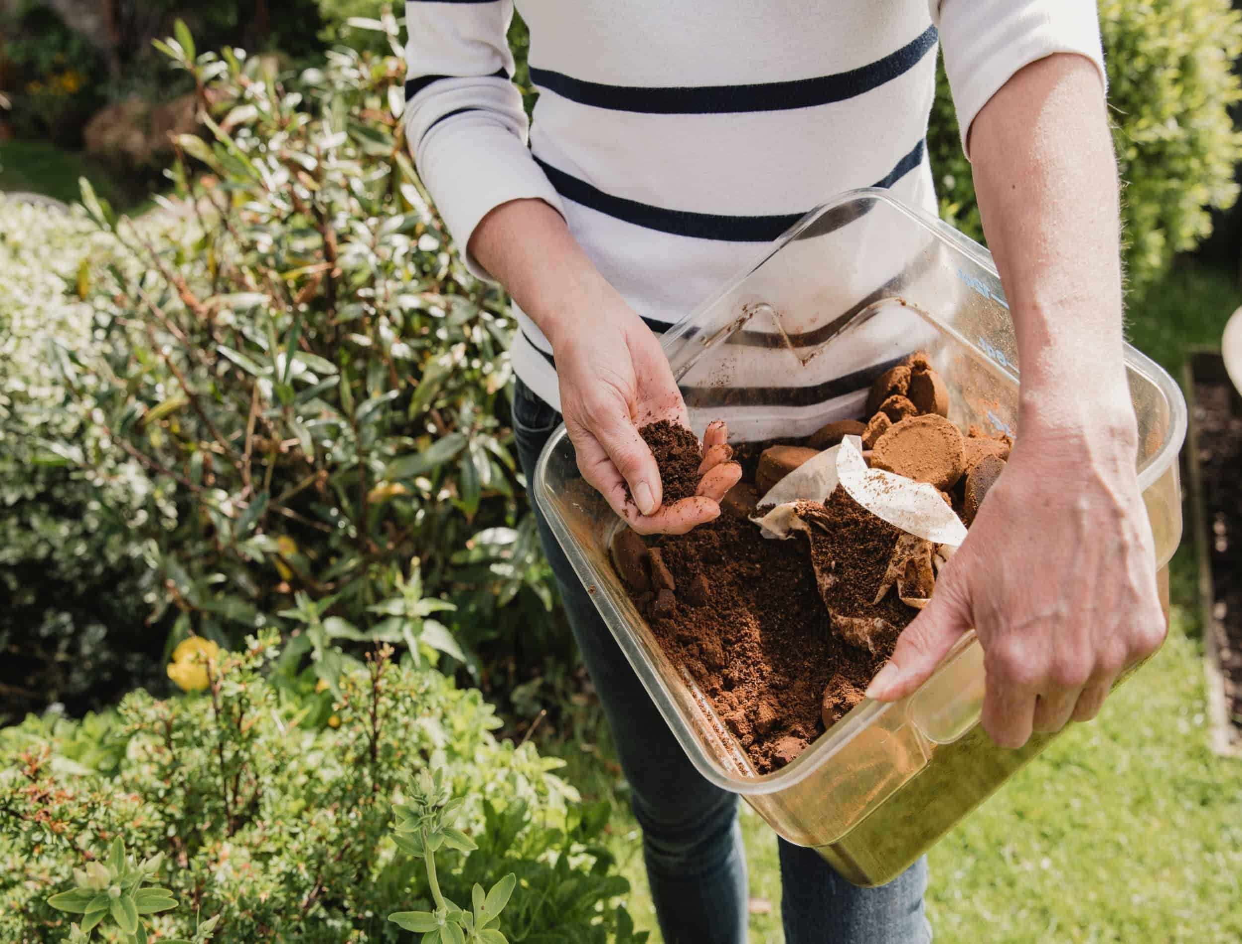 Unrecognisable woman in casual clothing holding a box of used coffee ground to use as compost in her garden.