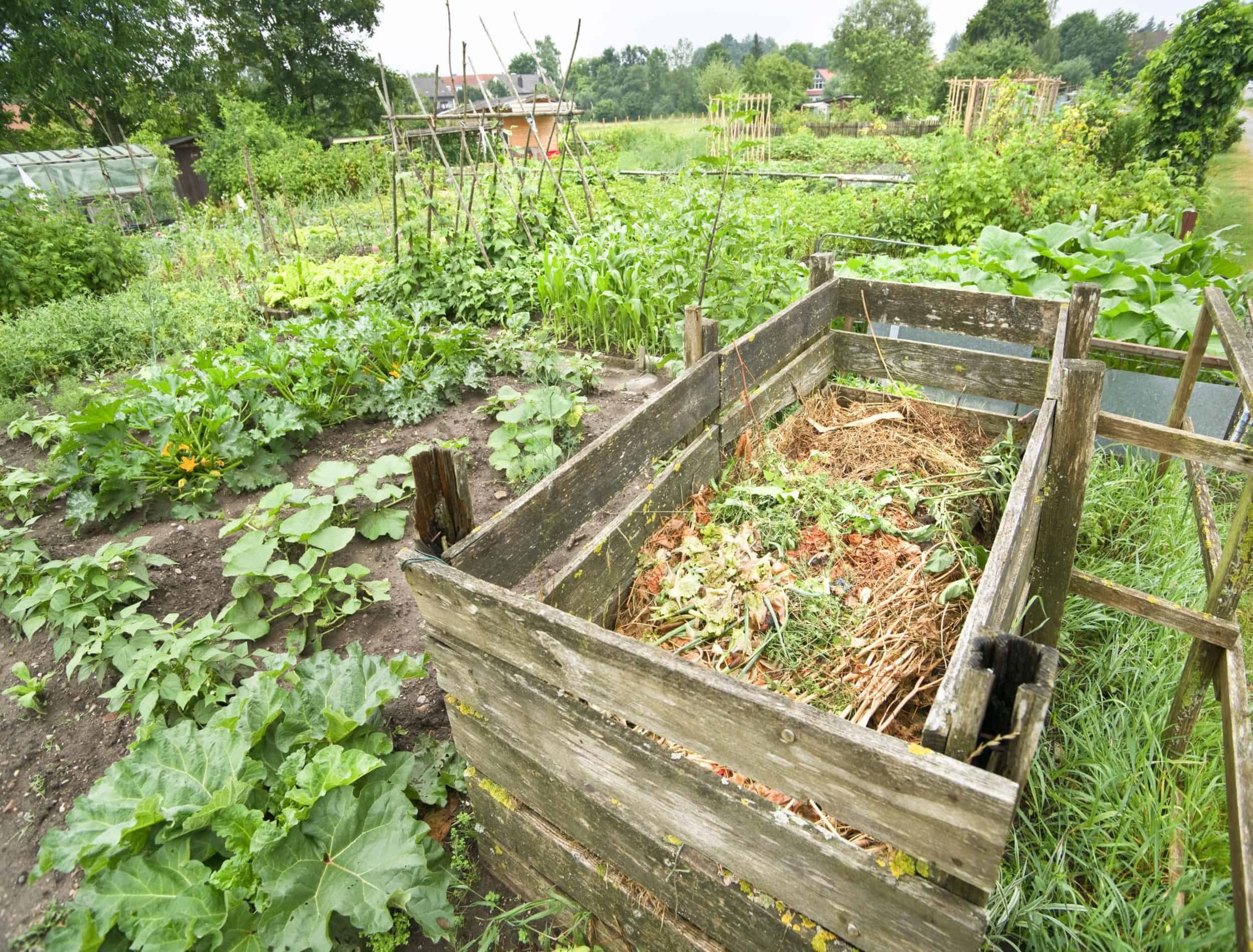 Compost bin in a vegetable garden vitamins healthy biological homegrown spring organic - stock image