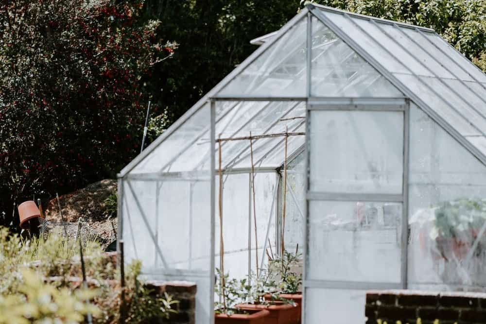 gable greenhouse with plants in pots