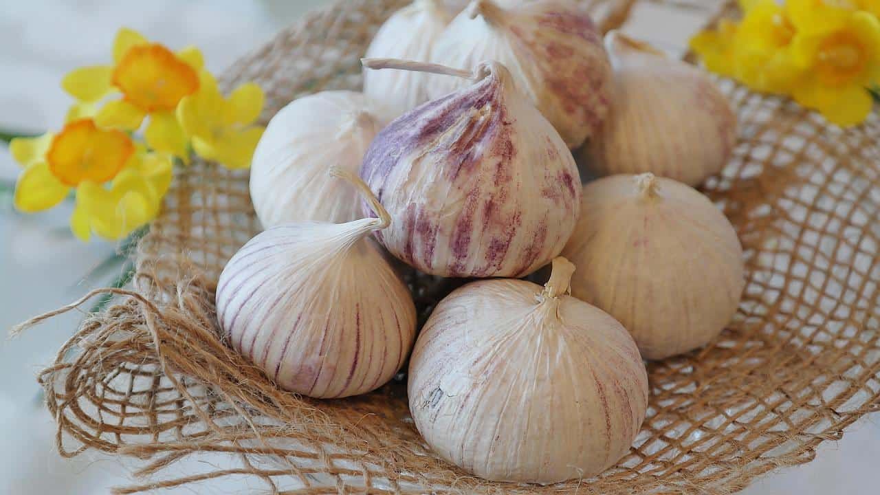 Garlic in woven basket