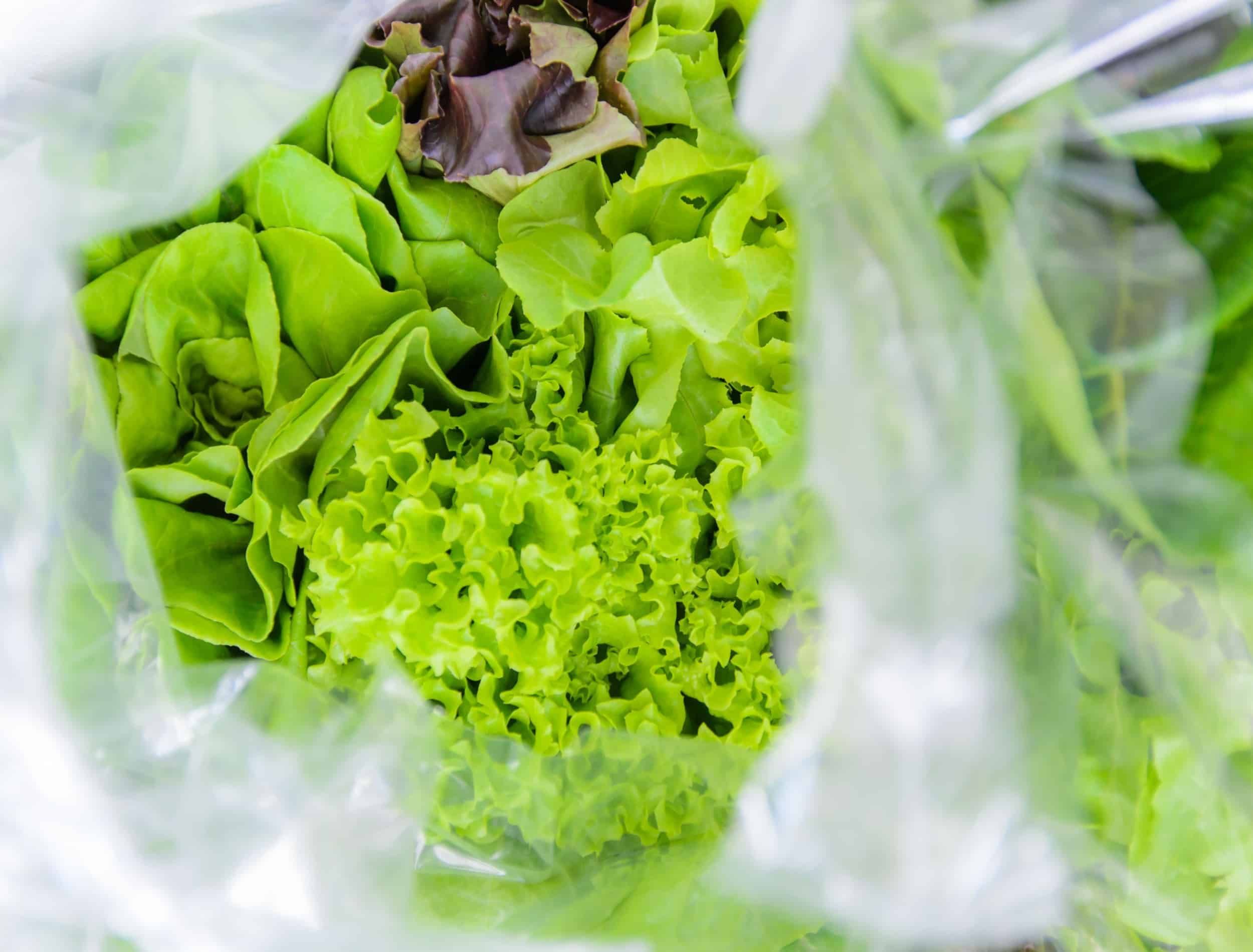 Organic vegetables in plastic bag