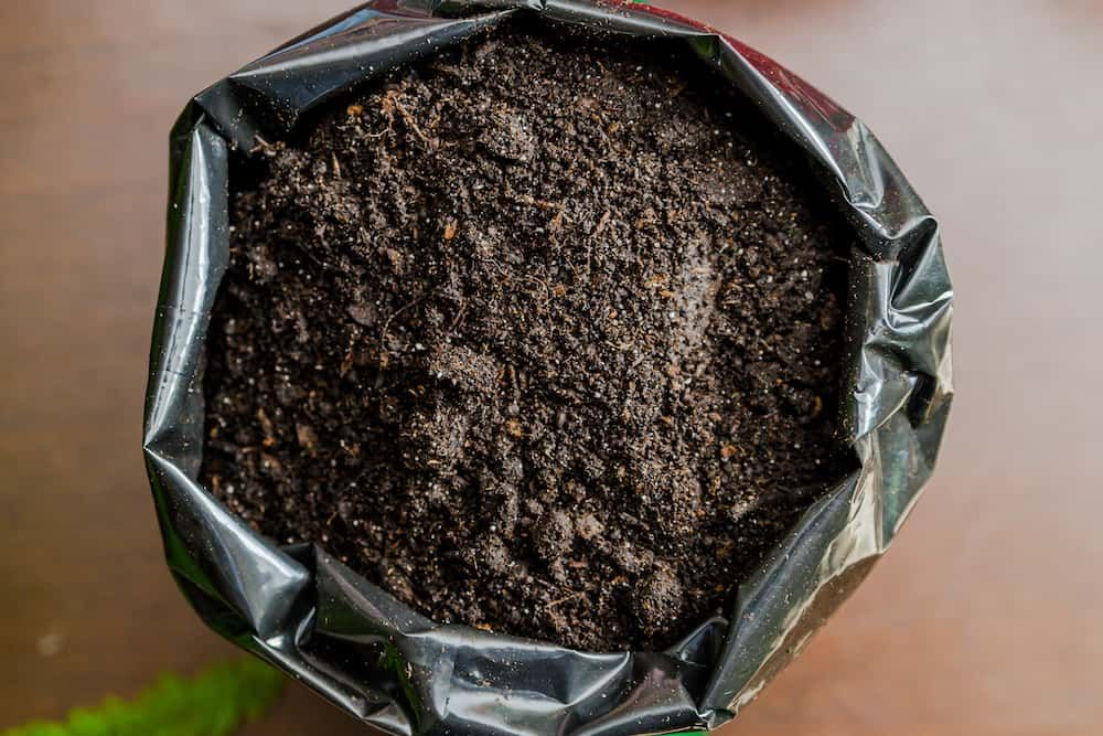 earth for a plant in a black bag. the soil is black earth fertilizer for gardening, raised garden bed