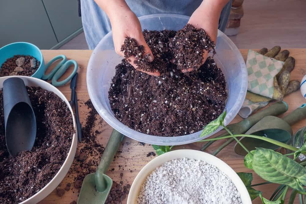 Indoor potted plant care in spring. A caucasian woman mixing plant soil with perlite in the container. Top view.