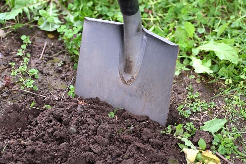 shovel in soil