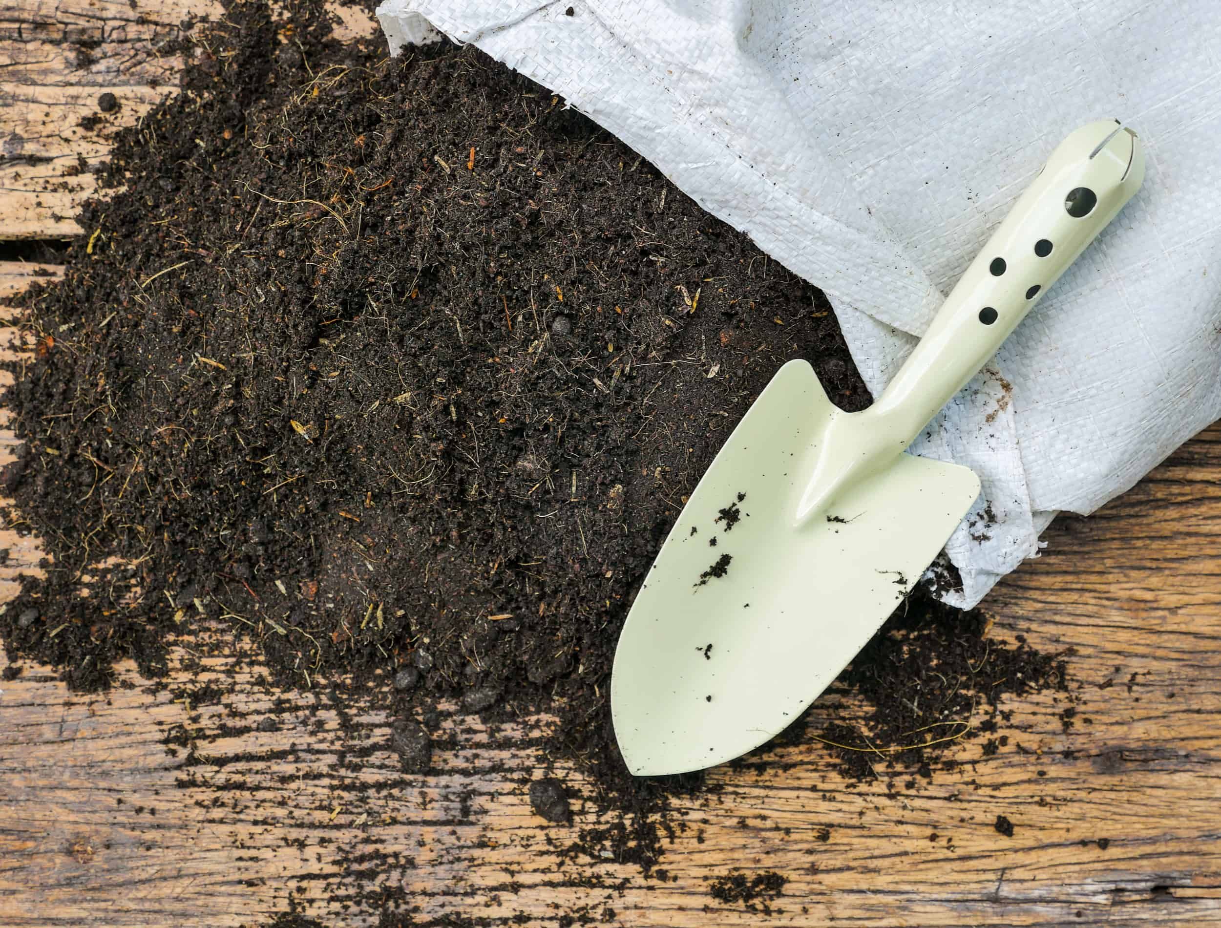 What’s in Garden Soil Garden Soil vs Other Soils