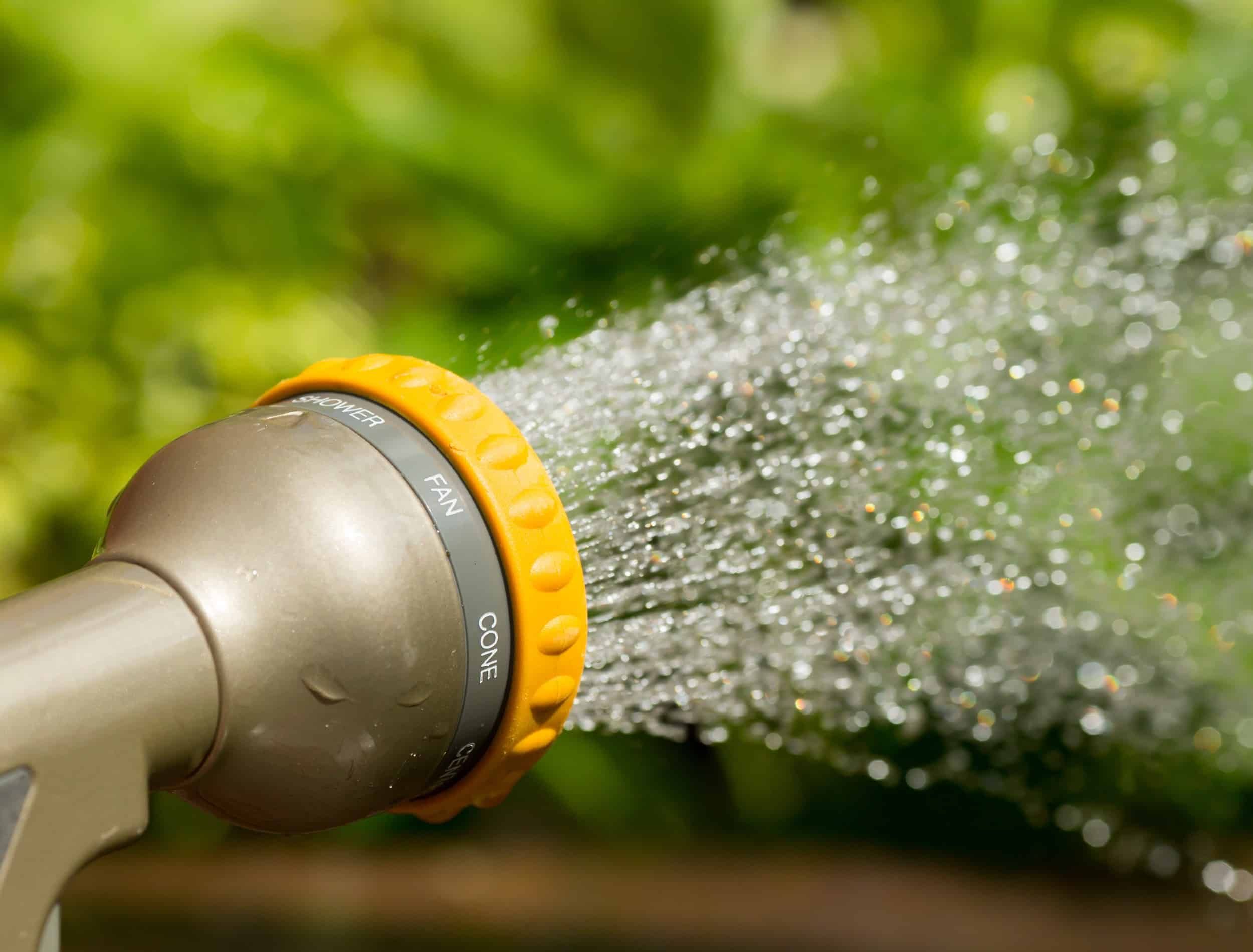 Hose nozzle spraying water on plants outdoors on a sunny day.