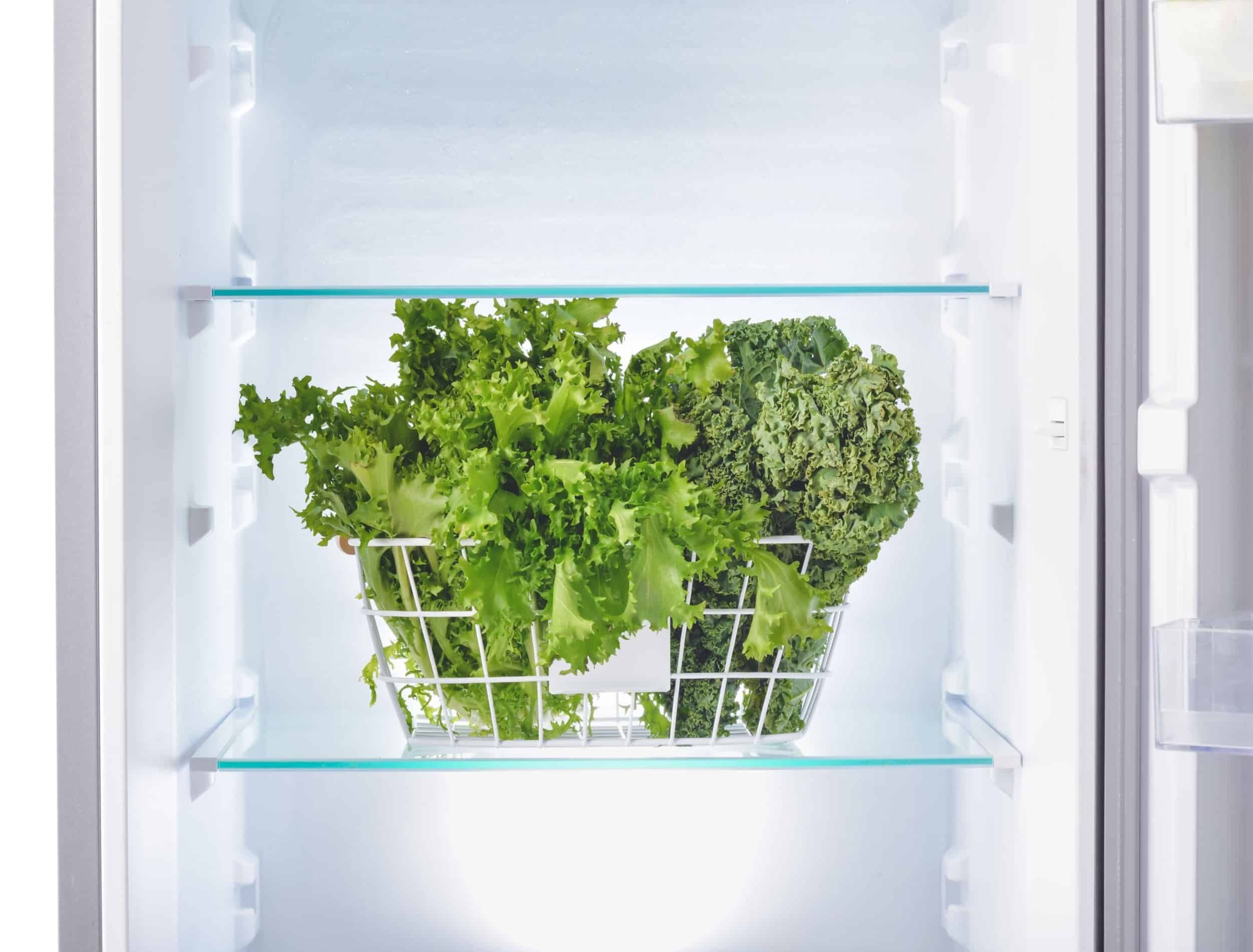 Basket with fresh lettuce in empty fridge
