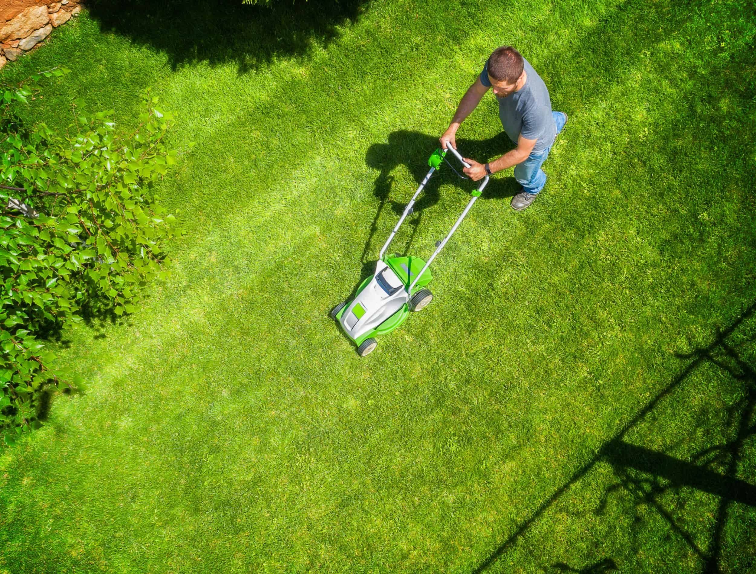 A man mowing the lawn - Aerial photo