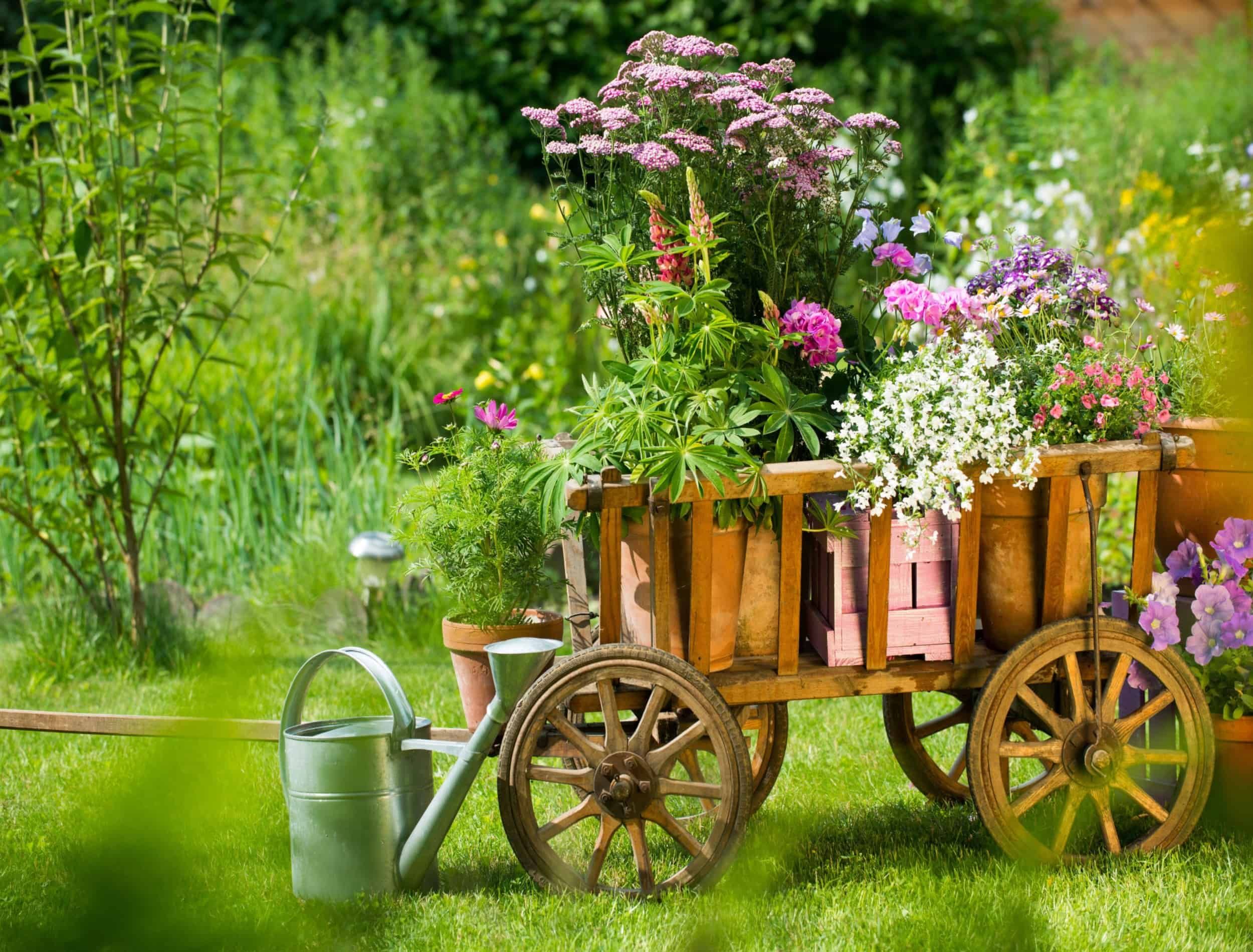 Idyllic garden with old wooden cart