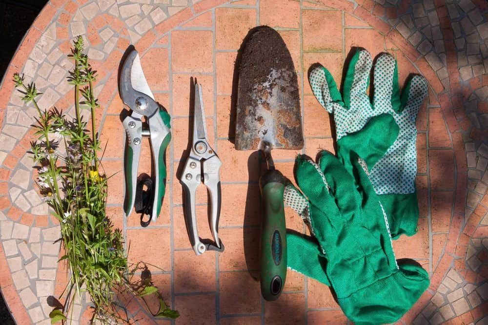 array of gardening tools including garden spade, shears, and garden gloves