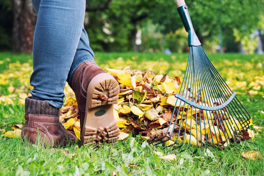 Fall garden clean up