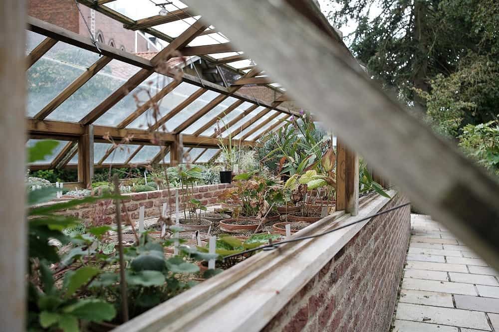 Greenhouse with roof ventilation