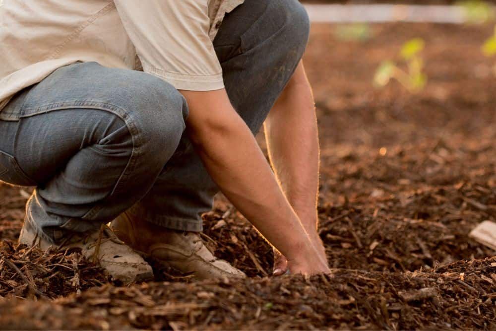 Person digging into garden soil with their bare hands