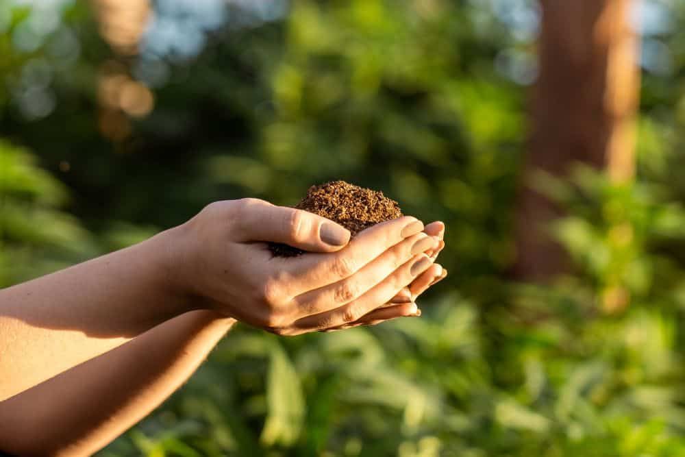 Hands cupped and holding soil with plants unfocused in the background
