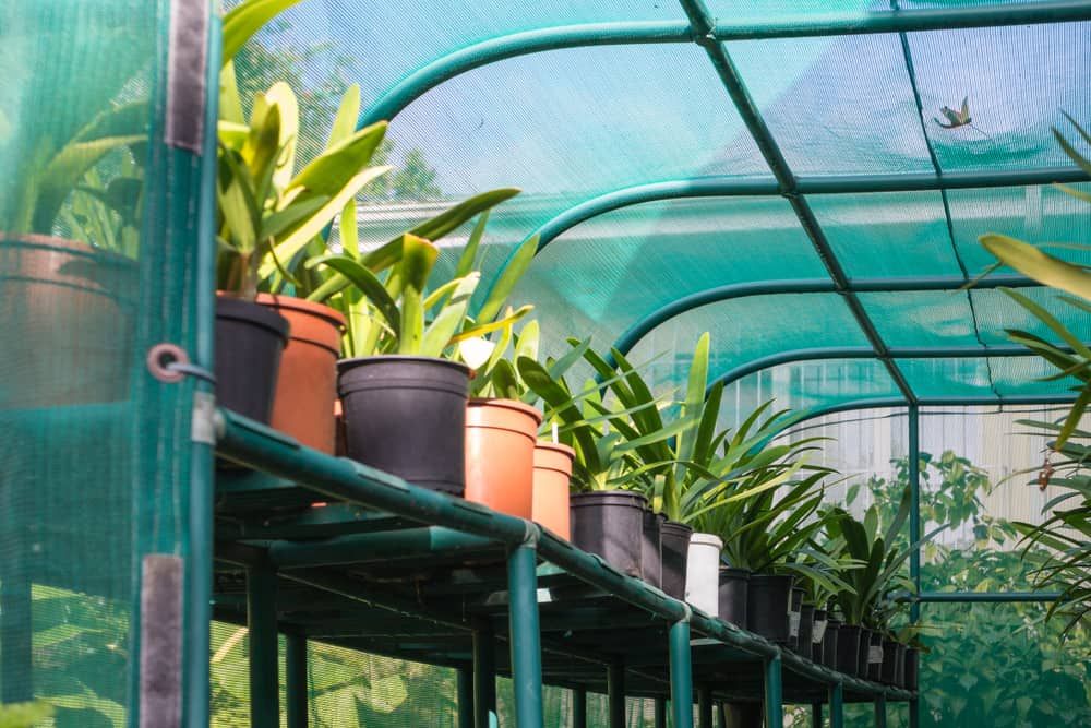 Shade cloth on a greenhouse