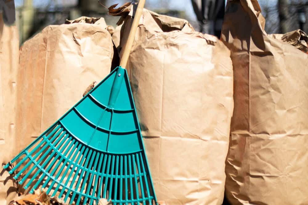 a row of paper leaf composting bags with a leaf rake leaning on them