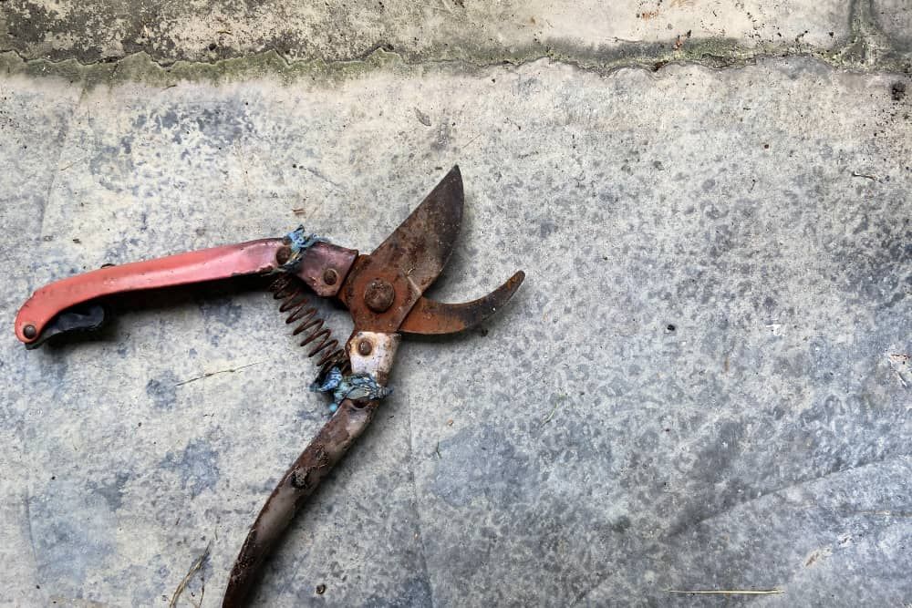 Old and rusty pruning or garden shears that used for gardening with textured background - Flat lay view