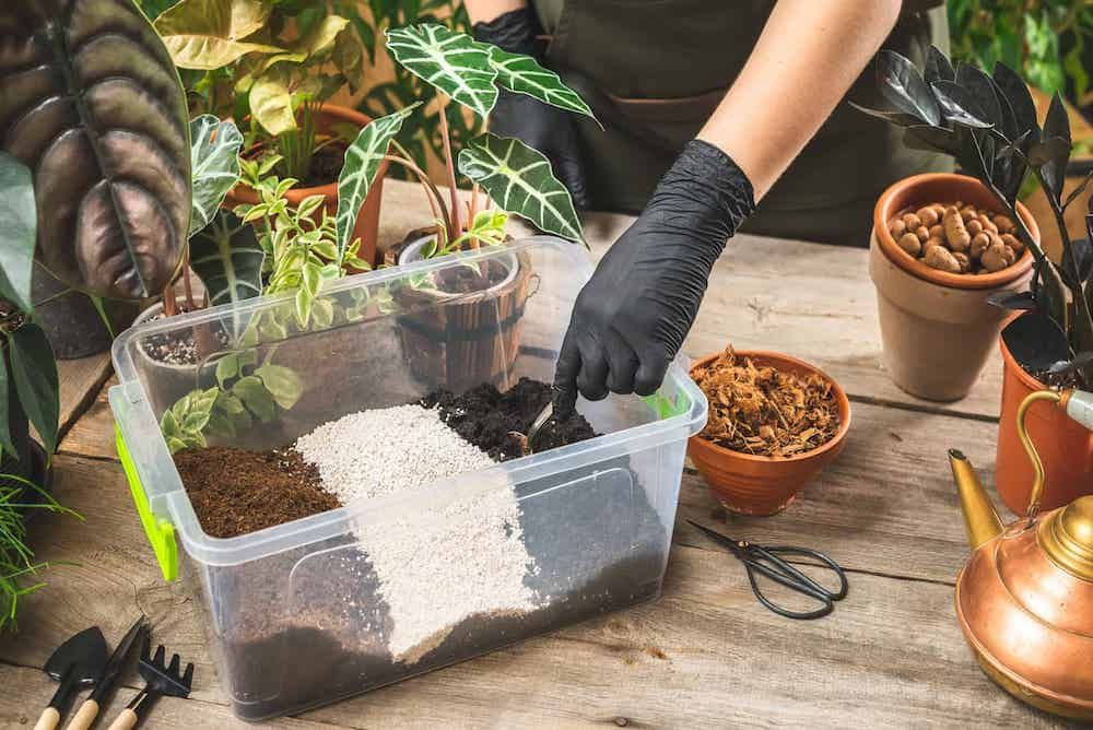 black gloves mixing the soil mix ingredients in the plastic container. Home gardening concept. Cultivation and care for the indoor potted plants.