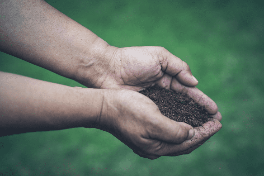 Asian Woman Holding Peat Moss Organic Matter Improve Soil for Ho