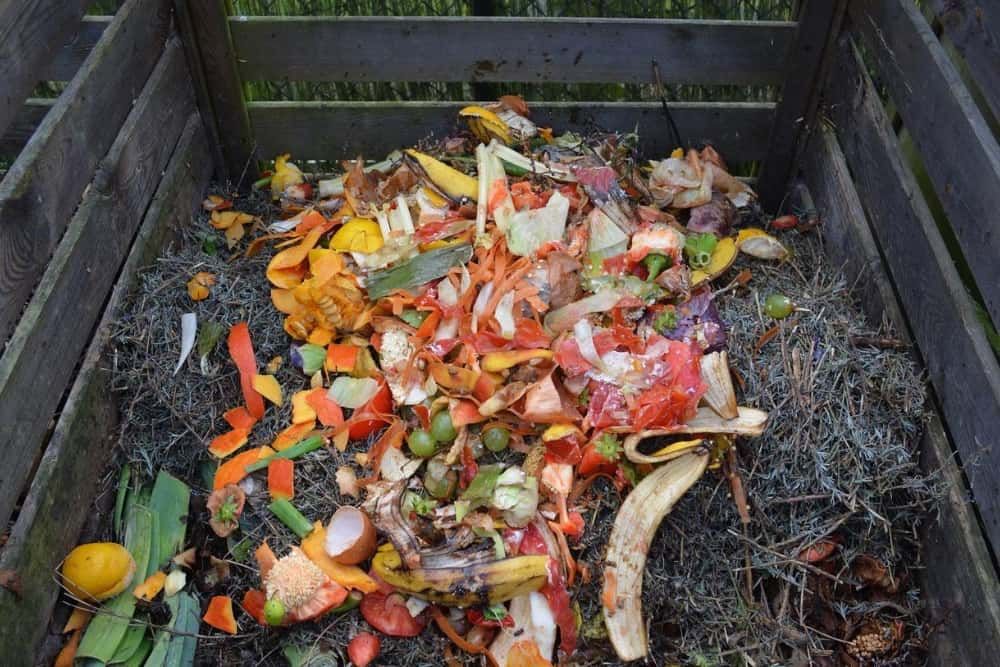 green waste compost bin