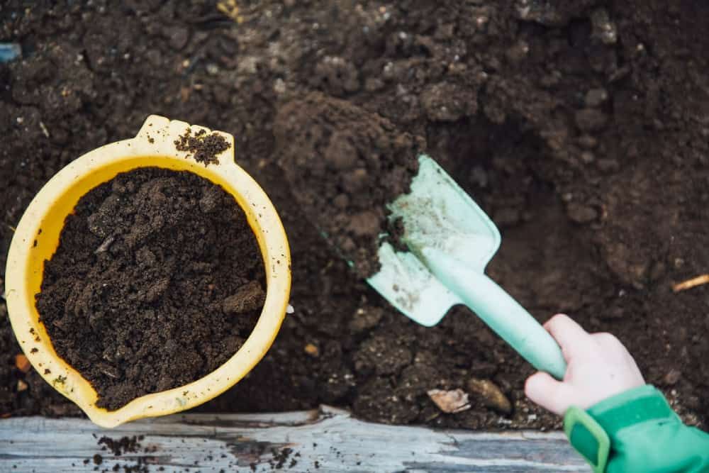 adding compost to soil