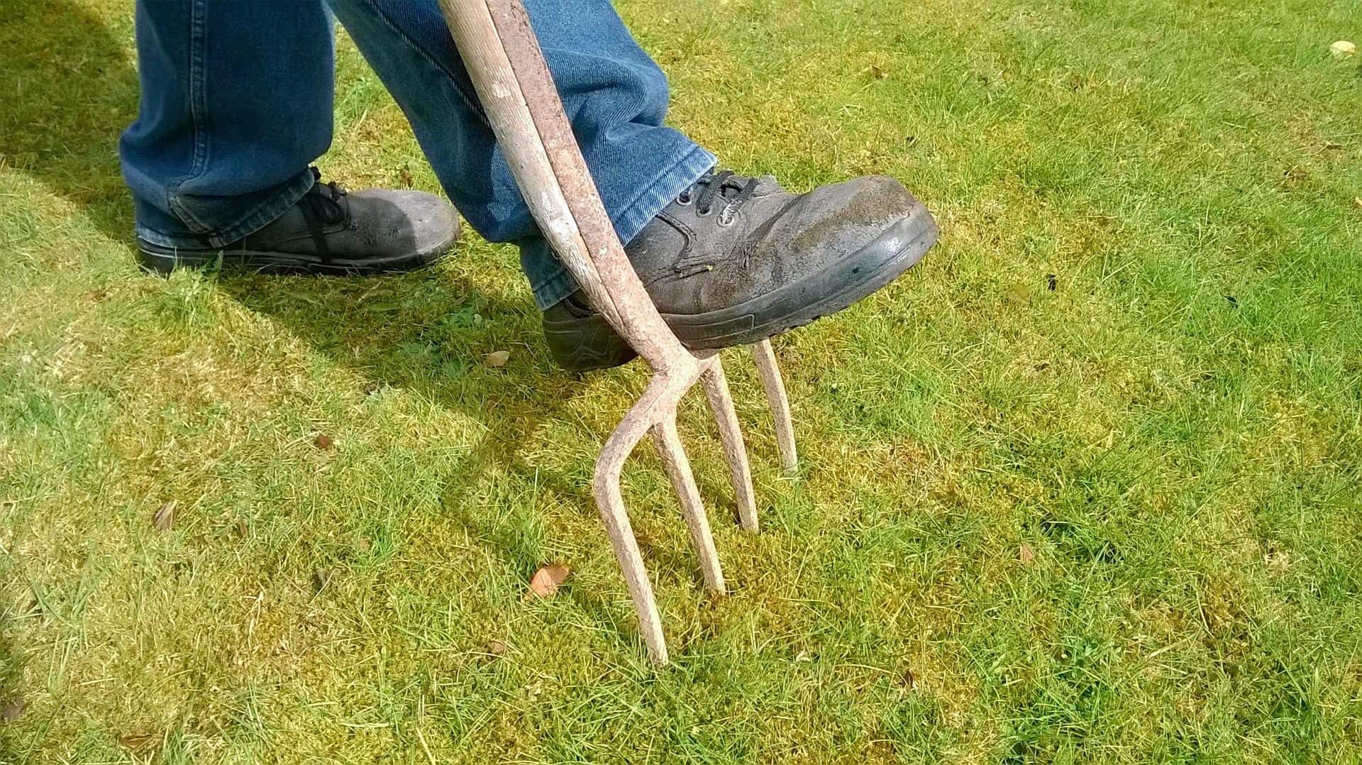 Aerating soil with pitchfork