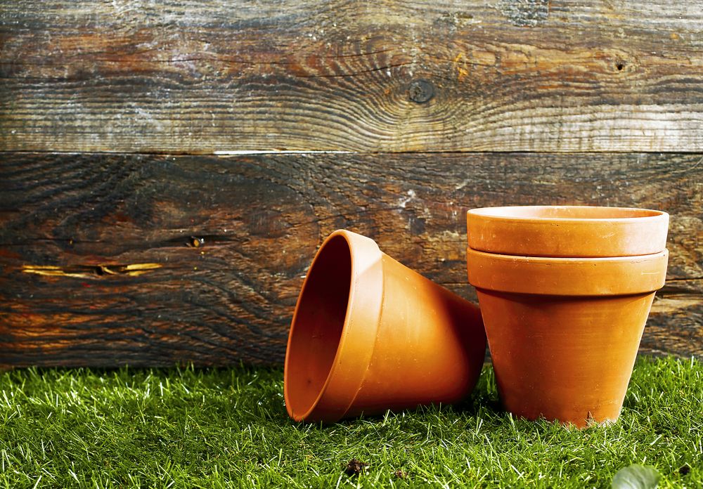Empty earthenware terracotta flower pots