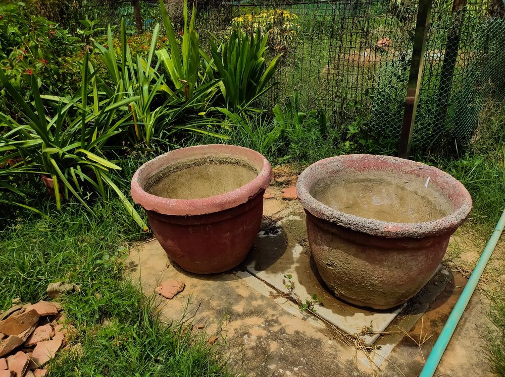 Big empty clay pots in the garden