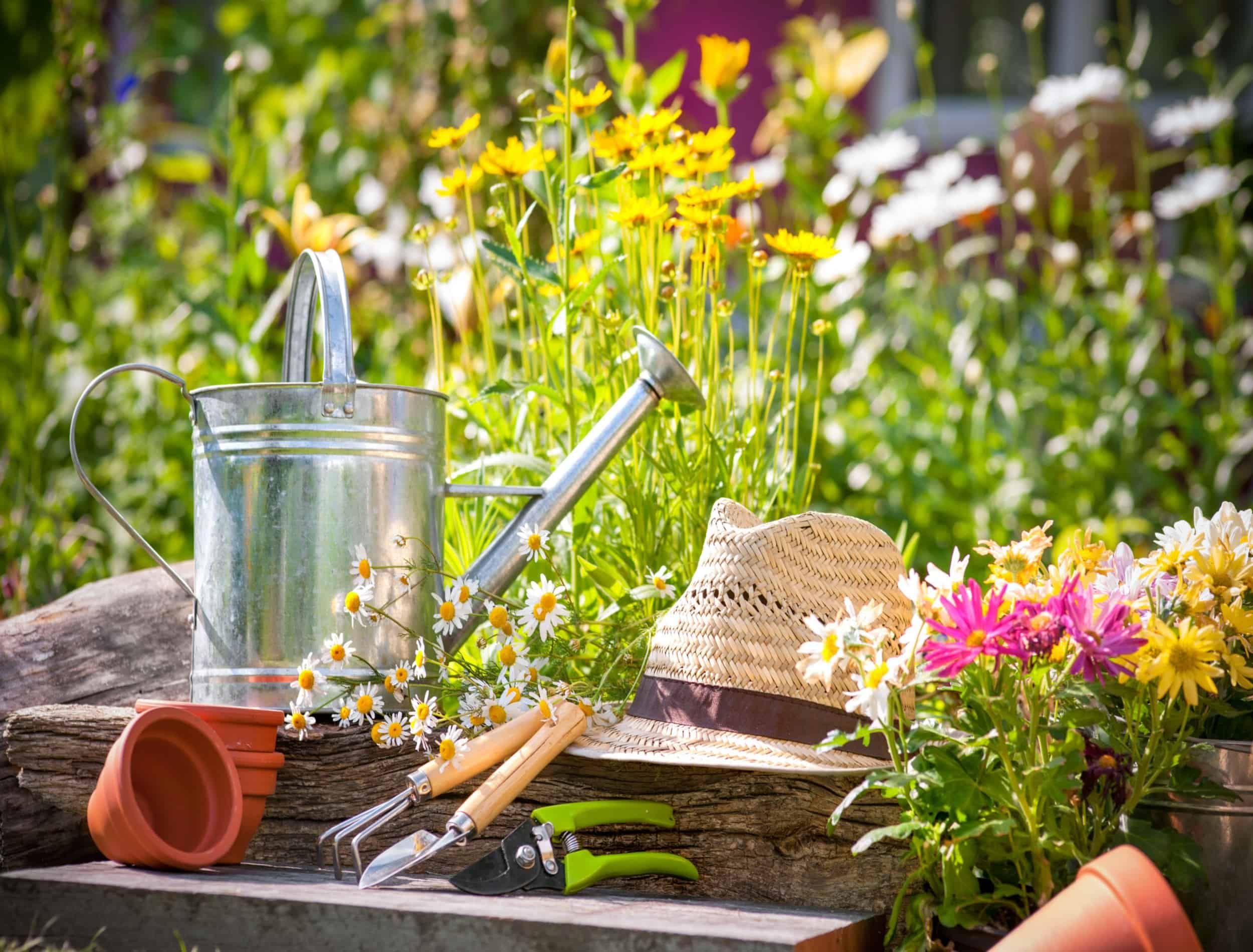 Gardening tools and straw hat on the grass in the garden