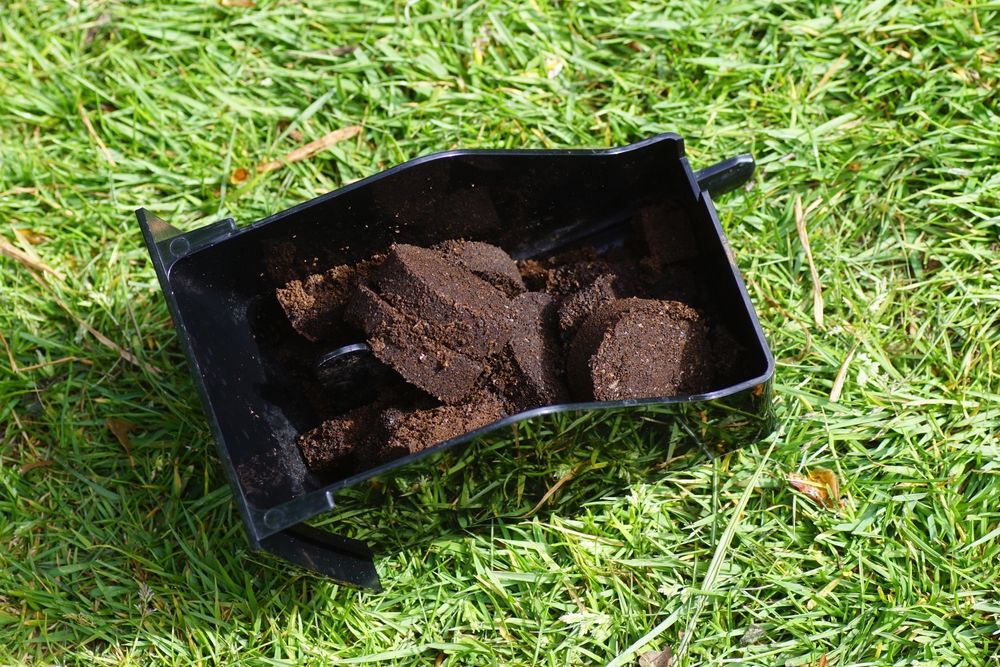 Coffee grounds on lawn 
