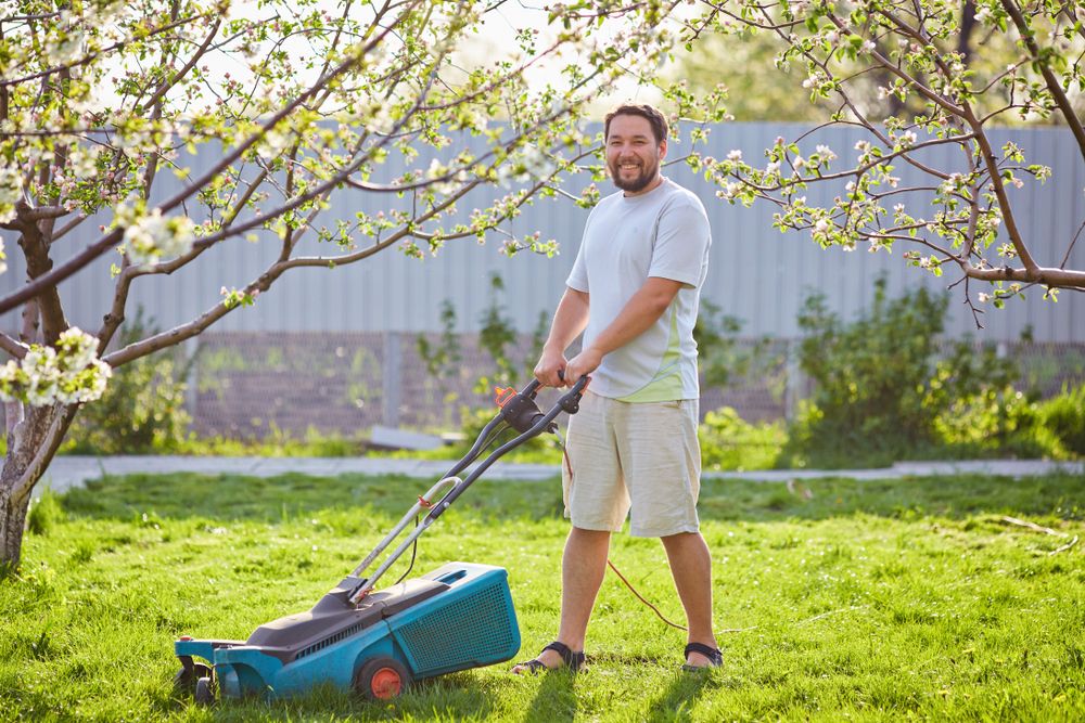 Man mowing his lawn with an electric mower