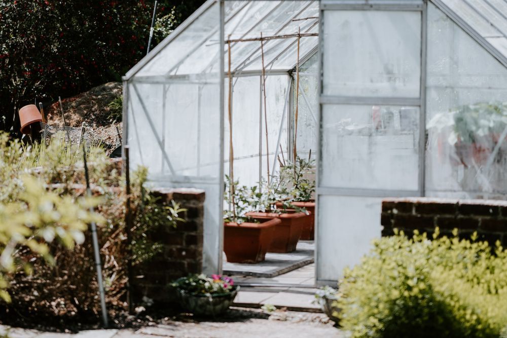 greenhouse in someone's backyard surrounded by garden as well as garden pots seen within