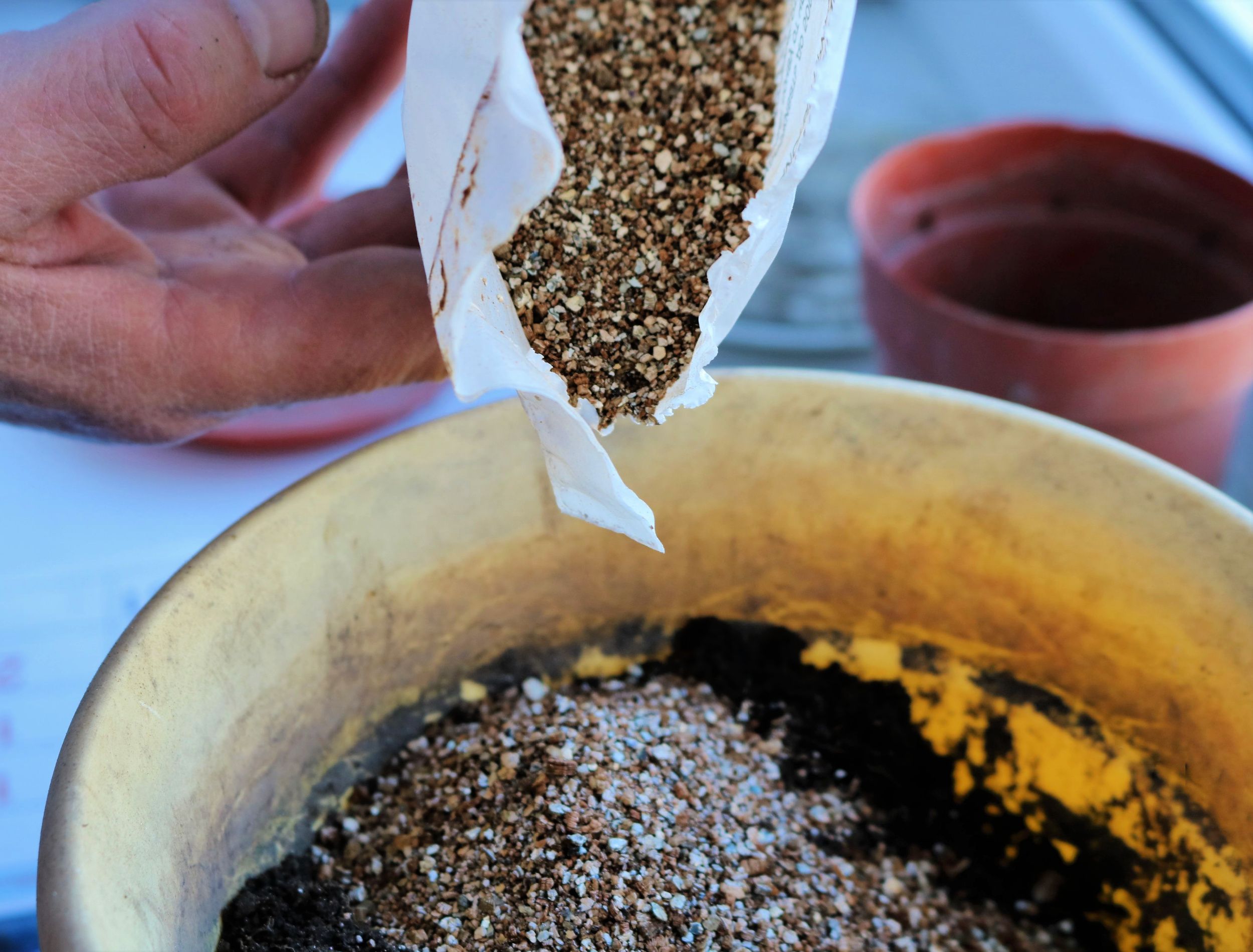 pouring vermiculite from a factory package into a pot of soil to prepare a mixed soil for seed germination in the spring, adding granules to improve potting soil for seedlings at home
