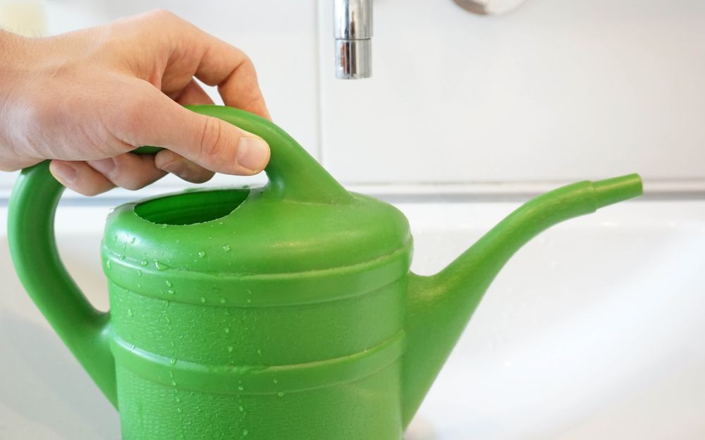 Tap Water in a Watering Can