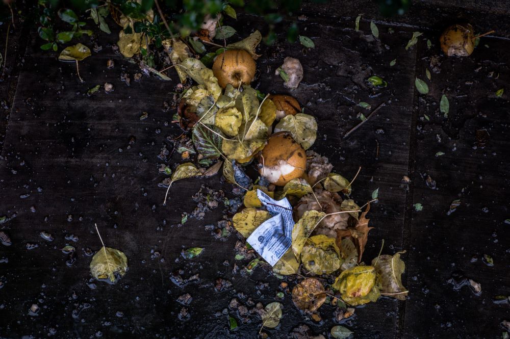 A compost mix of leaves and decaying fruit