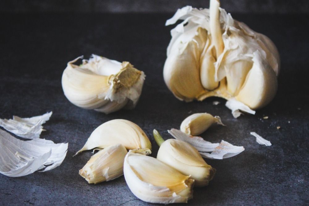 A bulb of garlic opened up with some cloves spread out, bug repellent