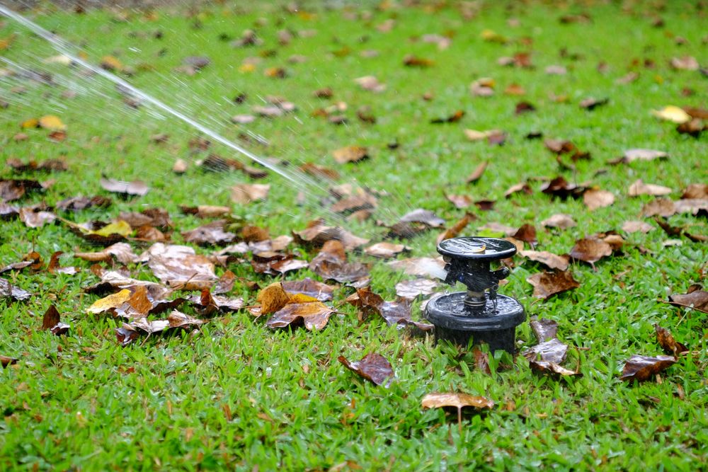 Sprinkler watering grass lawn in garden