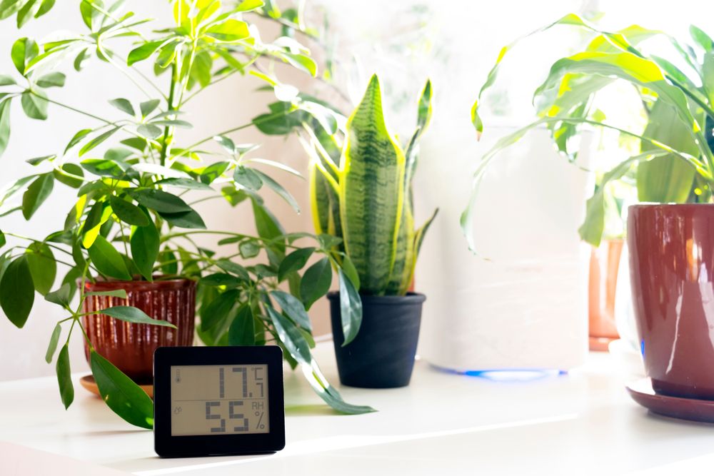 Thermometer and hygrometer. Air humidity measurement