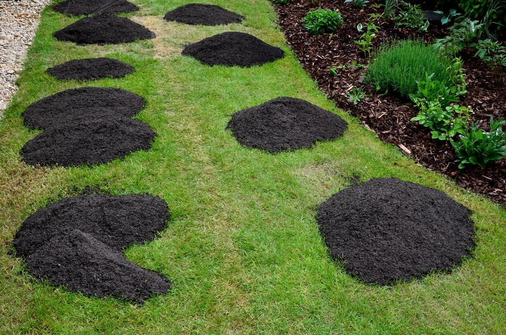 Improve Your Lawn With a Top Dressing Treatment
