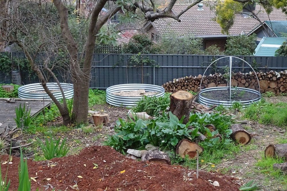 Are Galvanized Raised Garden Beds Safe?