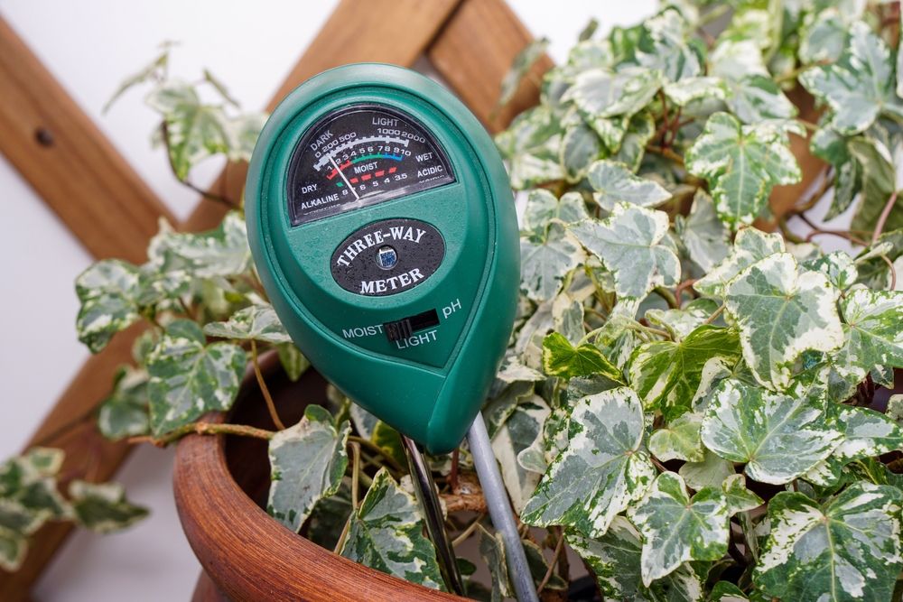Moisture Meter for Houseplants