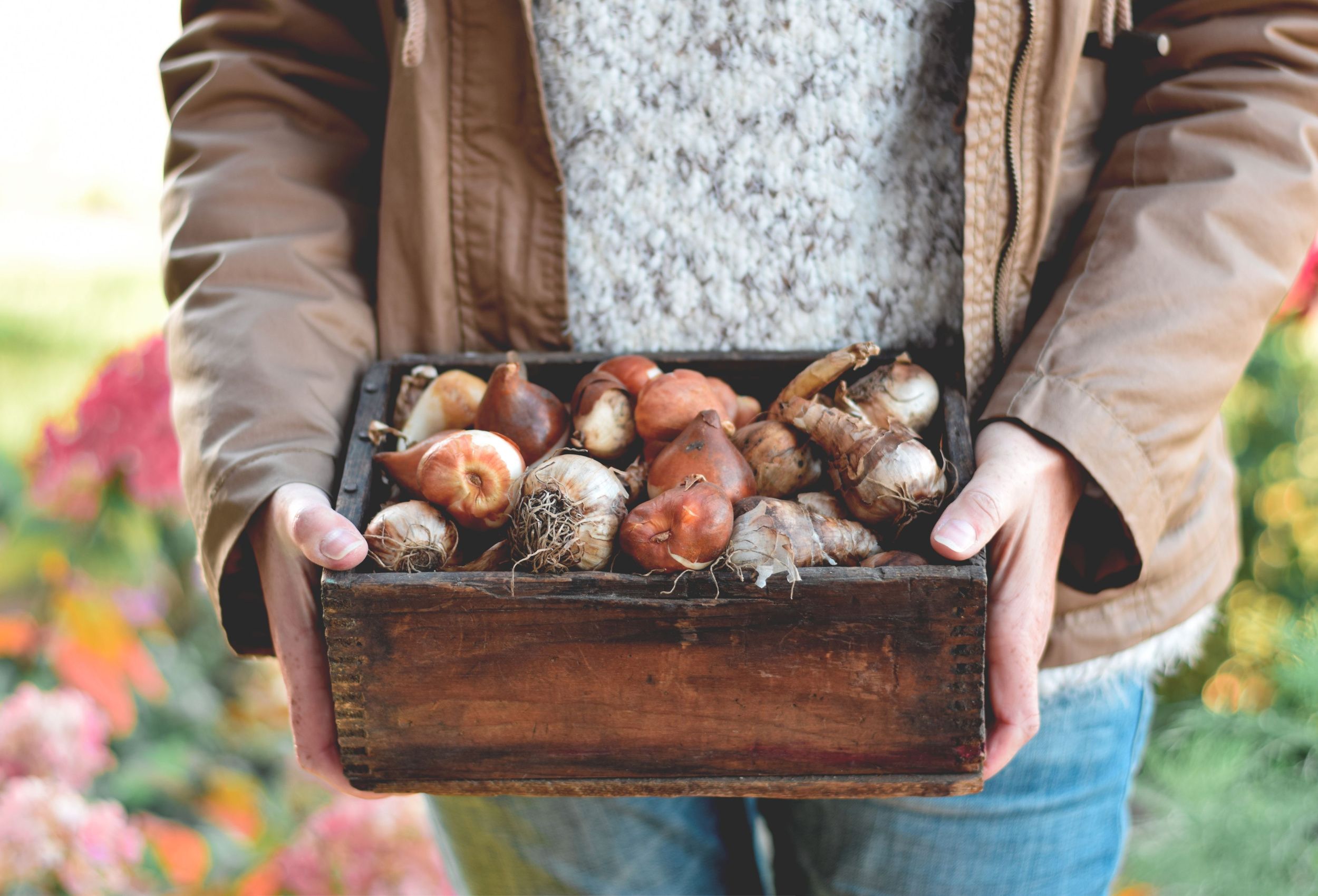 How To Store Bulbs For The Winter