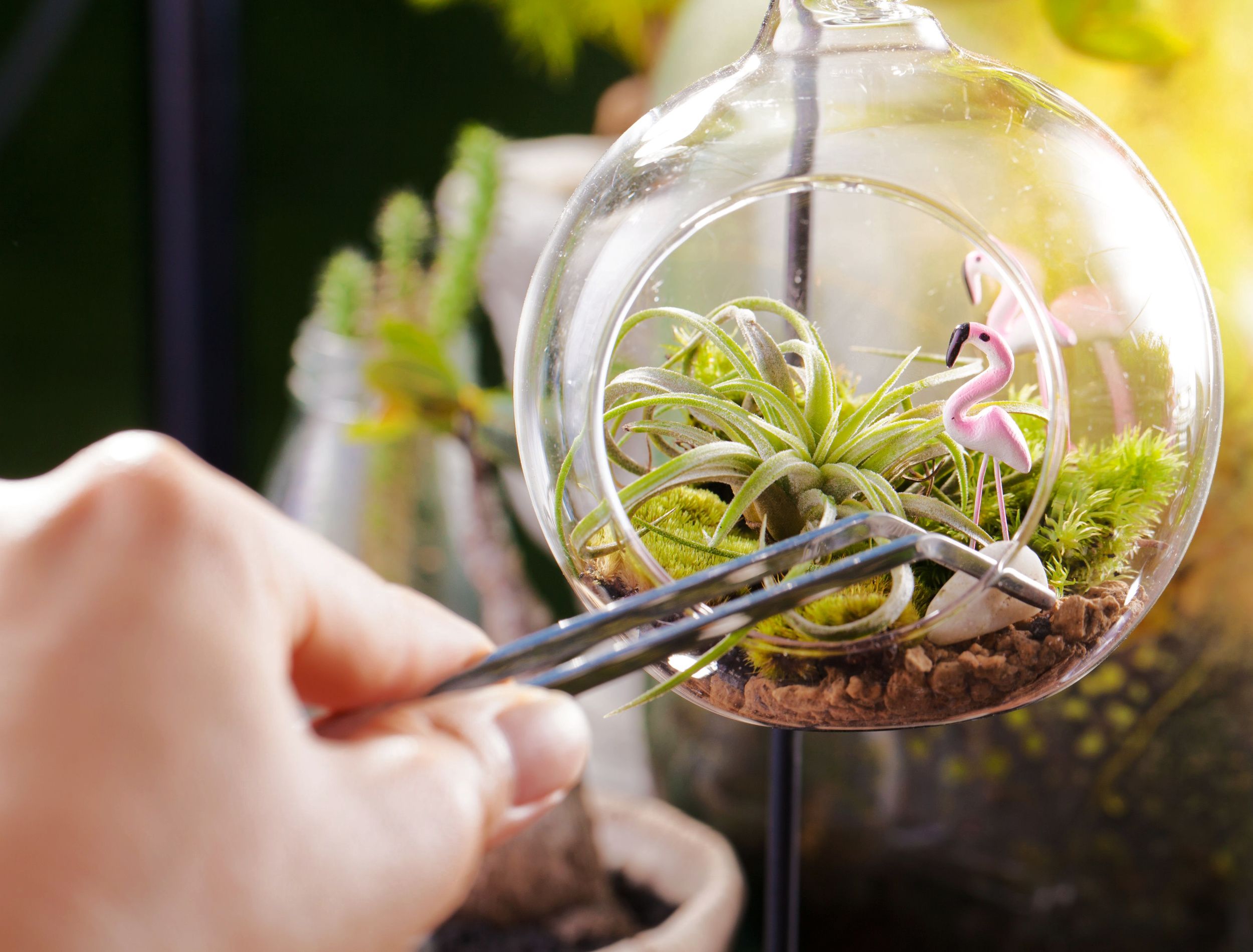 A terrarium garden scene in glass ball shape with Tillandsia, pebbles and flamingo toy inside and stainless forceps to decorate