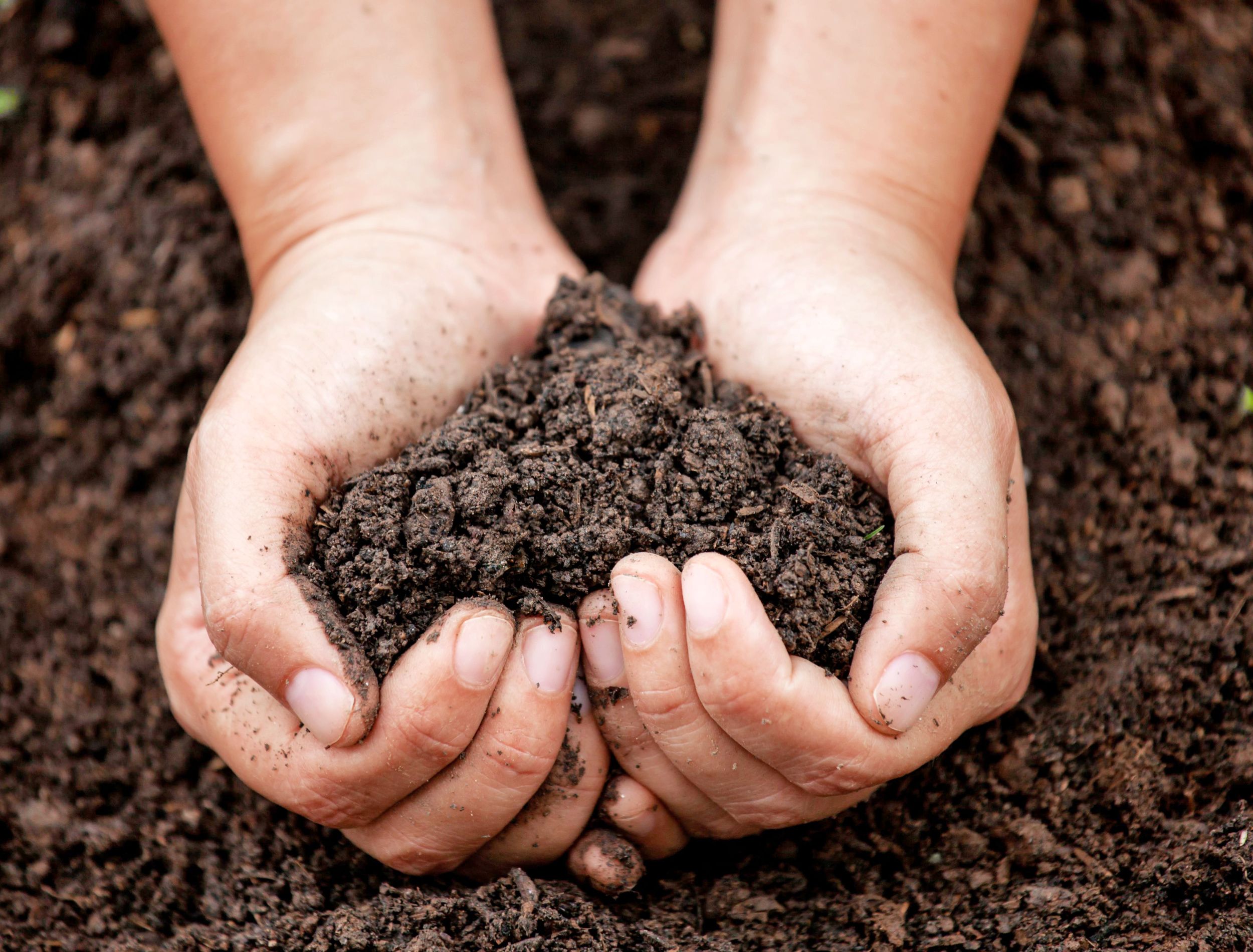 Woman hand holding soil in heart shape for planting
