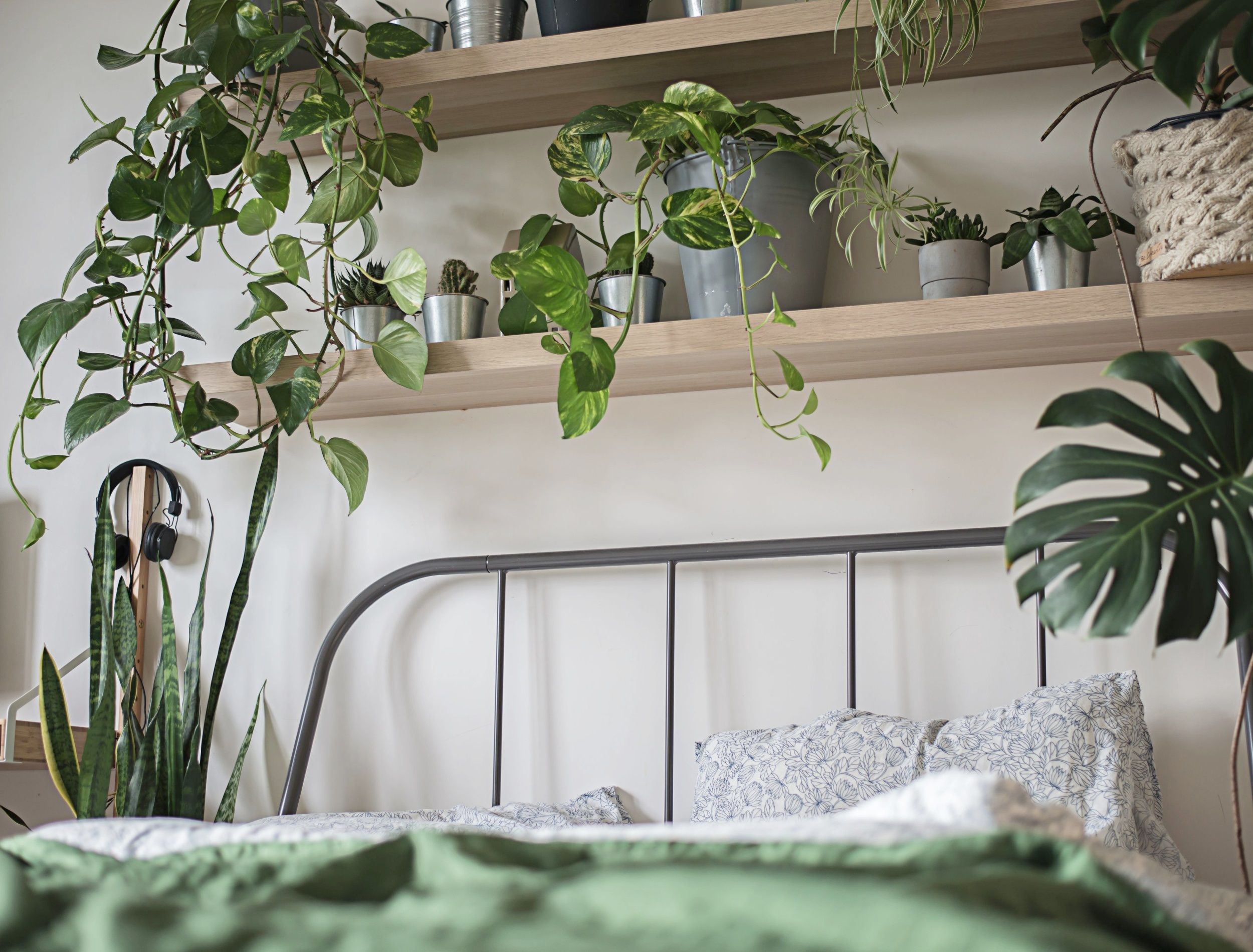 urban jungle bedroom with many flowers