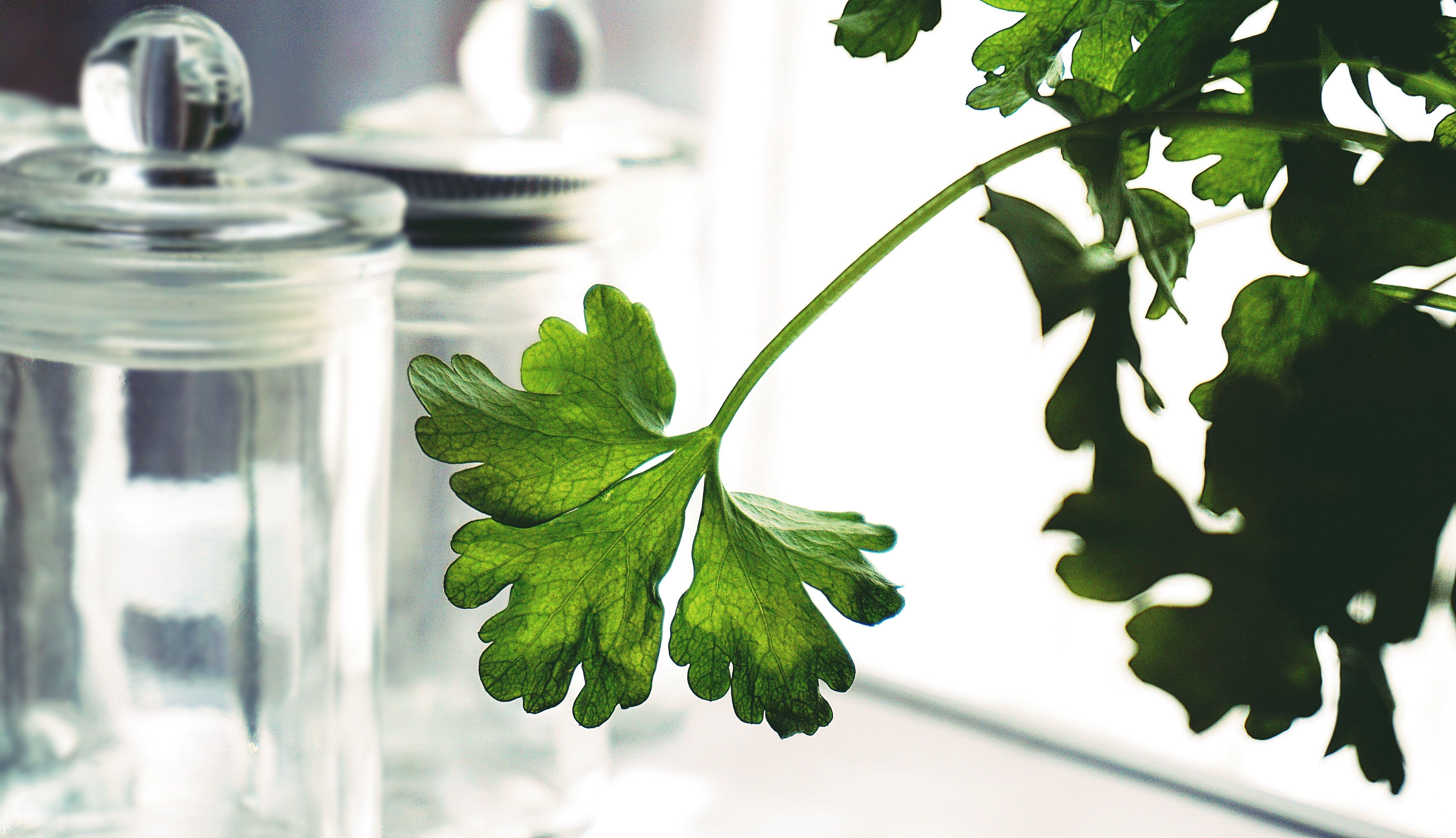 Parsley and Glass Jars