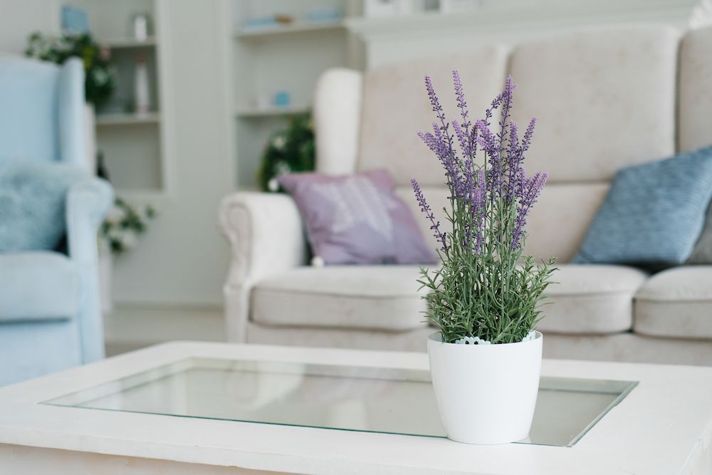 White vase with lavender flowers in the interior decor of the living room in light colors with blue color