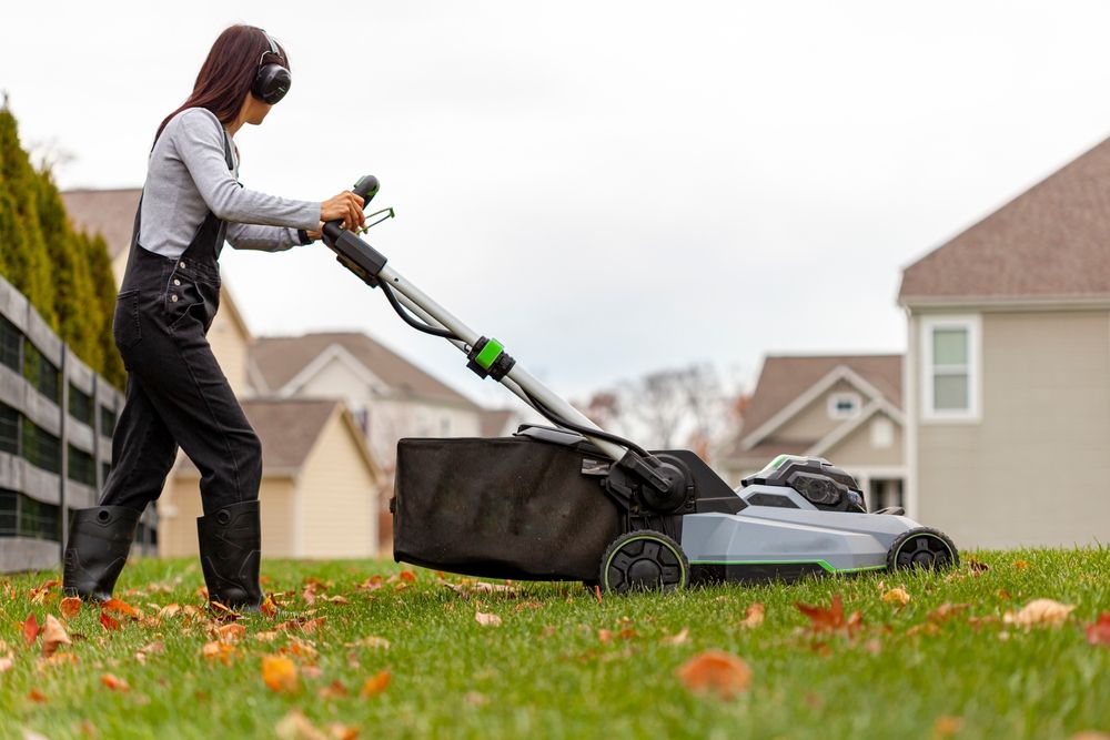 should-you-cut-grass-short-before-winter