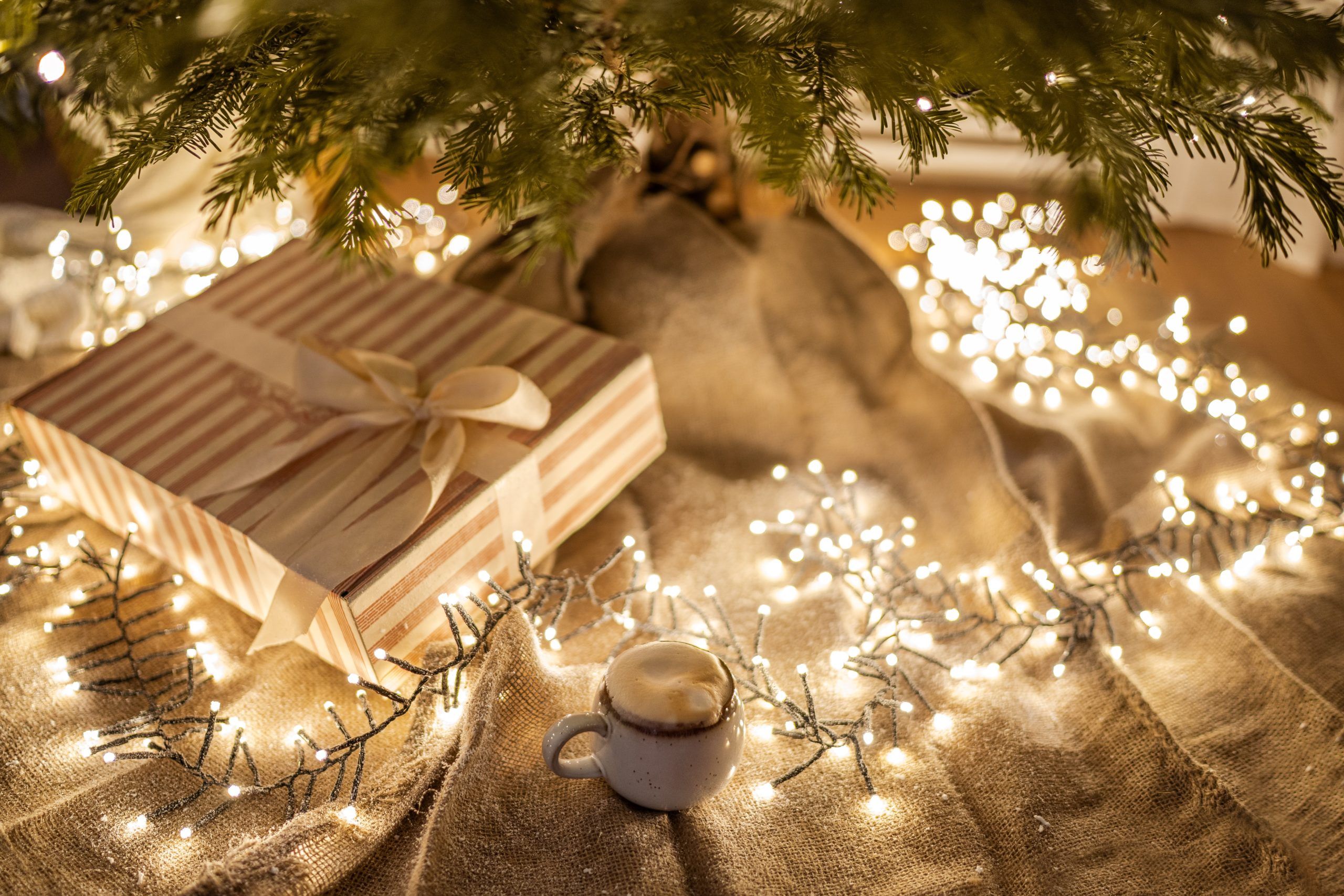 4 Simple Tricks To Keep Your Christmas Lights Untangled