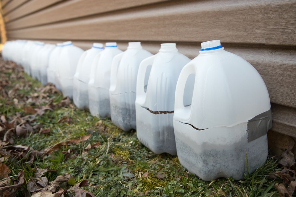 Milk jugs for winter sowing